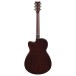 Yamaha TAS1 C, Sand Burst - back