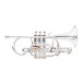 Besson Prestige BE2029 Cornet, Silver Plated 1