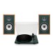 Triangle Borea BR02 Connect Active Speakers with Lunar 1 Manual Turntable, Green