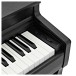 Kawai CN201 Digital Piano, Satin Black