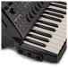 Korg Fisa Suprema Digital Accordion, Piano Key 6