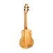 Flight Songbird TPP Concert Electro Ukulele - back