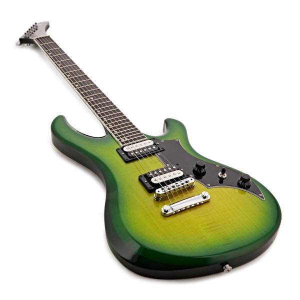 Gibson Victory Figured Top, Iguana Burst #210450258 - angled 