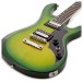 Gibson Victory Figured Top, Iguana Burst #210450258 - body