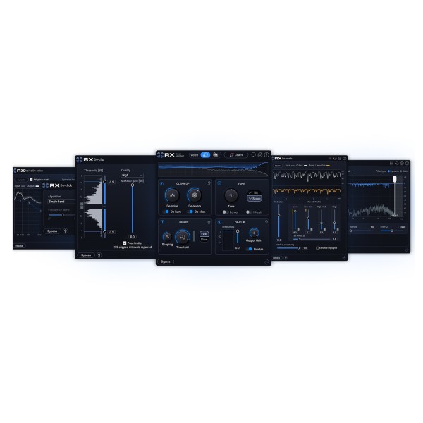 iZotope RX 12 Elements