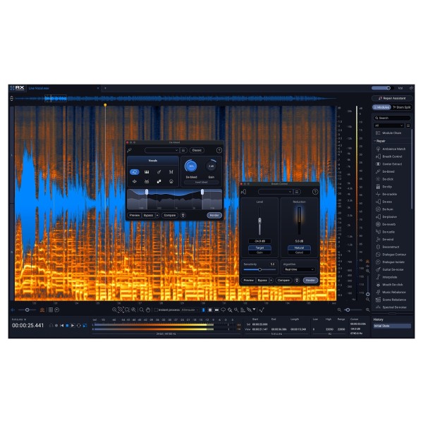 iZotope RX 12 Standard
