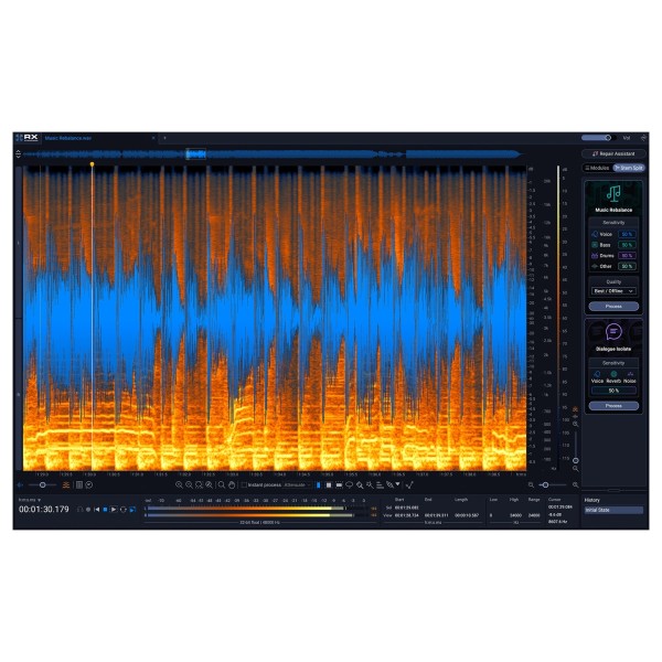 iZotope RX 12 Standard