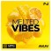 Native Instruments MPC Expansion Melted Vibes