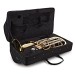 Conn BH651D Bb Baritone Horn, Lacquer 7
