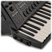 Korg Fisa Suprema C Digital Accordion, Piano Key 6