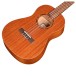 Cordoba U1B Baritone Ukulele