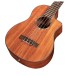 Cordoba 35T-CE Tenor Ukulele, Acacia