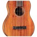 Cordoba 35T Tenor Ukulele, Acacia