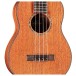 Cordoba 30T Tenor Ukulele