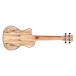 Cordoba 24T-CE, Spruce Tenor Ukulele