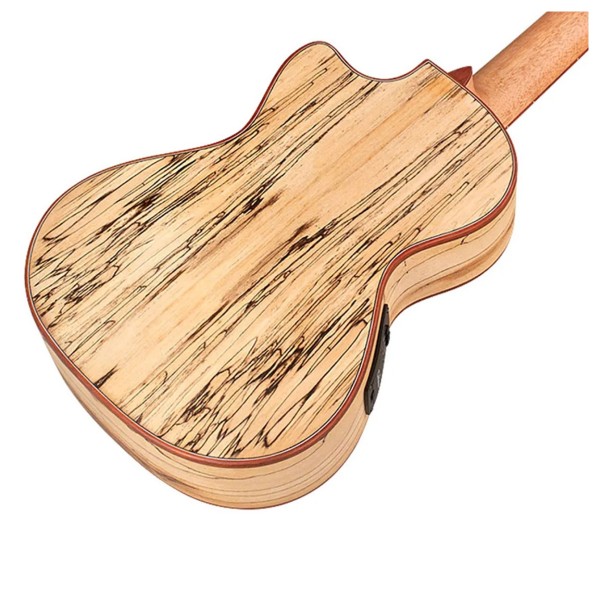 Cordoba 24T-CE, Spruce Tenor Ukulele
