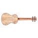 Cordoba 24T, Spruce Tenor Ukulele
