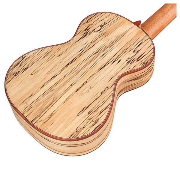 Cordoba 24T, Spruce Tenor Ukulele