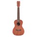 Cordoba Ukulele Player Pack, Concert