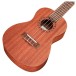Cordoba Ukulele Player Pack, Concert