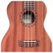 Cordoba Ukulele Player Pack, Concert
