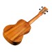 Cordoba 25C Concert Ukulele