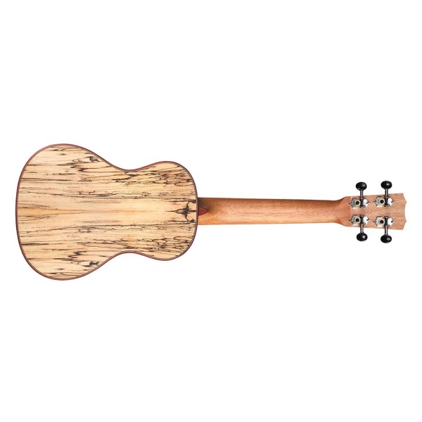 Cordoba 24C, Spruce Concert Ukulele