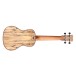Cordoba 24C, Spruce Concert Ukulele