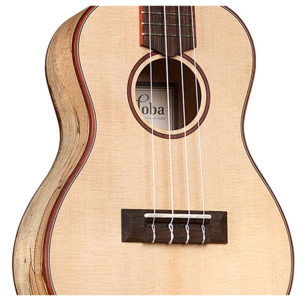 Cordoba 24C, Spruce Concert Ukulele