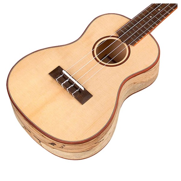 Cordoba 24C, Spruce Concert Ukulele