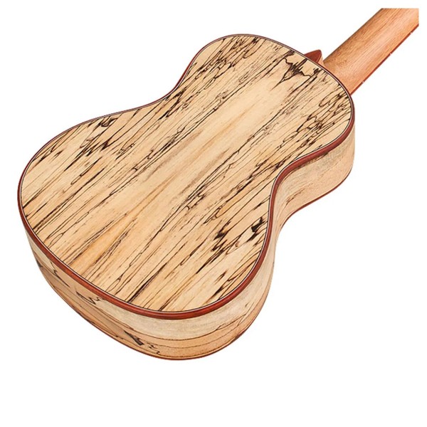 Cordoba 24C, Spruce Concert Ukulele