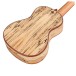 Cordoba 24C, Spruce Concert Ukulele