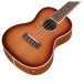 Cordoba 15CM-E, Edge Burst Concert Ukulele