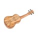 Cordoba 24S, Spruce Soprano Ukulele