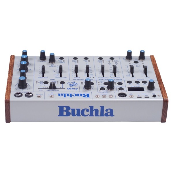 Buchla Ziggy - Rear