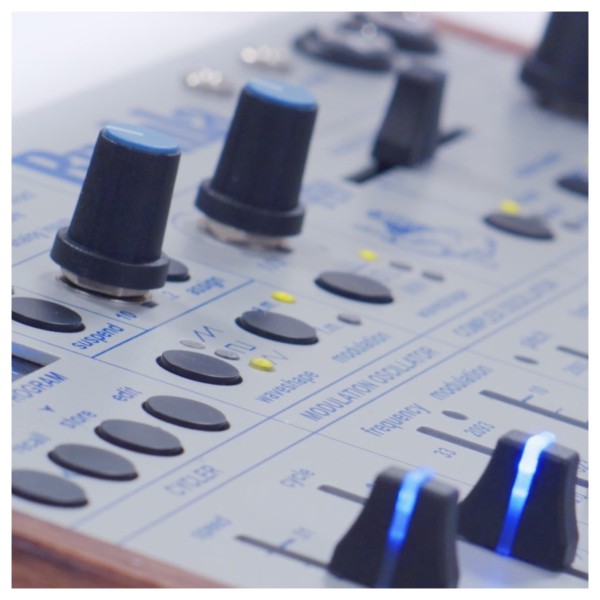 Buchla Ziggy Analog Desktop Synthesizer - Detail