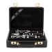 Buffet R13 Bb and A Clarinet Pair 7