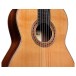 Cordoba Friederich, Cedar/Rosewood