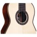 Cordoba Torres, Spruce/Indian Rosewood