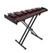 Deluxe Stringed Xylophone by Gear4music, 3 Octaves