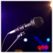 Lambden Audio D85 Handheld Dynamic Microphone