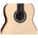 Cordoba C12, Spruce