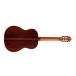 Cordoba C10, Spruce