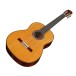 Cordoba C10, Cedar