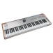 Astrolab 61-Key Stage Keyboard, Silver - Angled