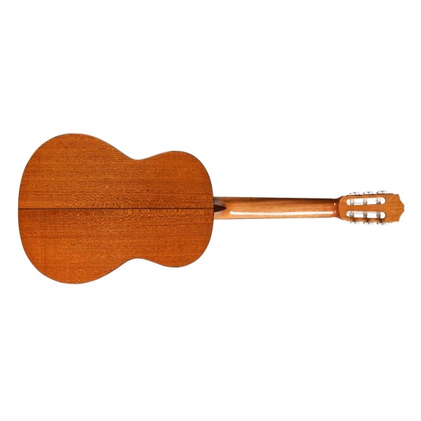 Cordoba C5, Spruce