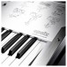 Korg Opsix SE, Platinum - Detail 2