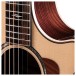 Taylor Next-Gen 812ce, Natural - upper frets