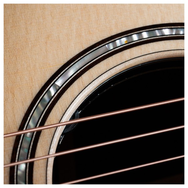 Taylor Next-Gen 812ce, Natural - rosette detail