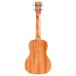 Cordoba 15C Concert Ukulele, Sangria - back